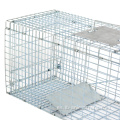 Trap de jaula de animales vivas y humanes dobladas para ratas